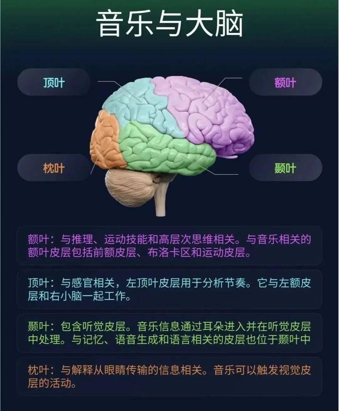 音乐艺术：连接情感、启迪心智的文明密码