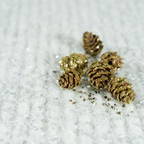 破壁松花粉：调节激素、提升运动表现的天然补充剂