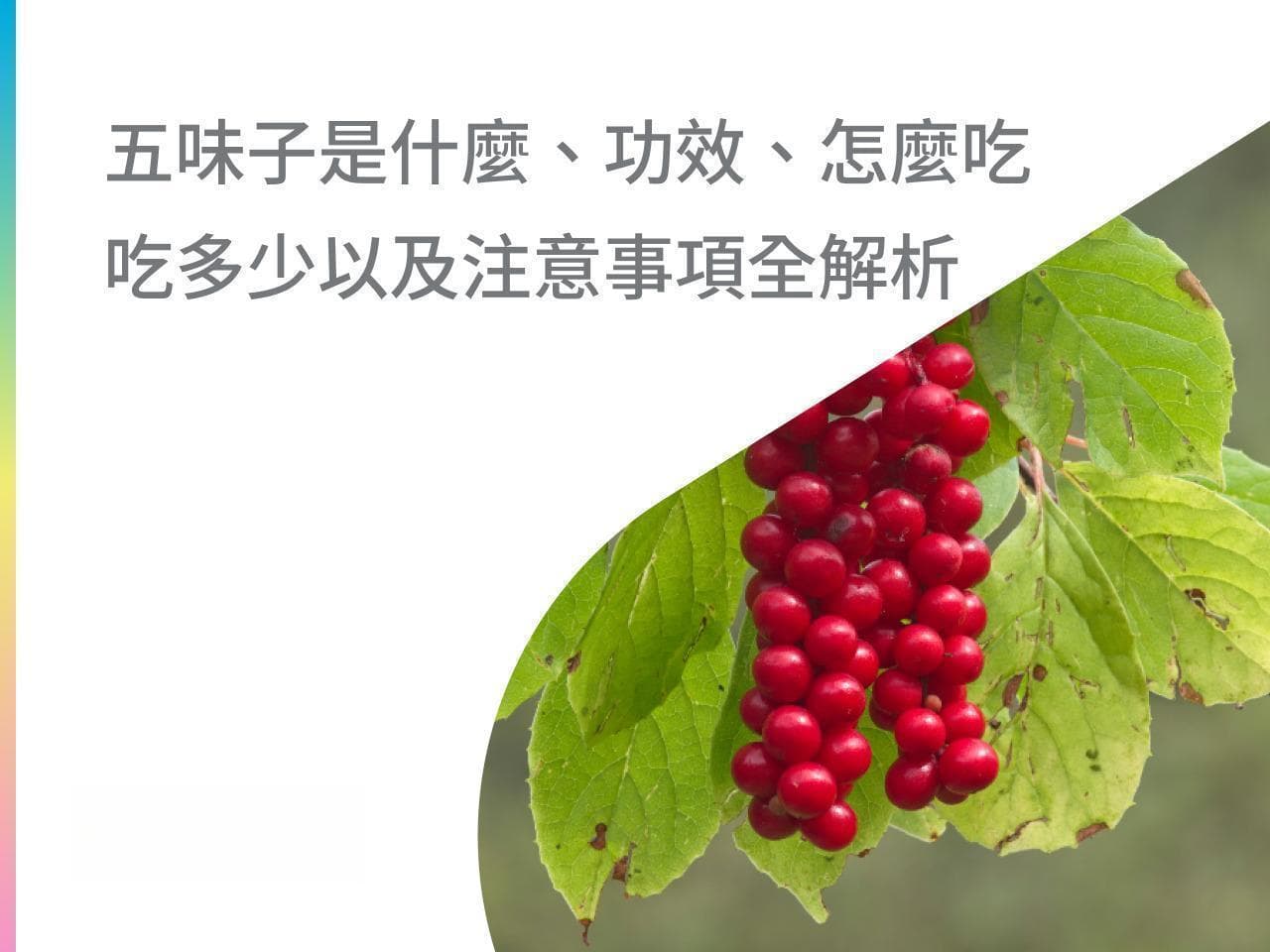 五味子的功效与食用指南：从抗氧化到改善睡眠的全面解析