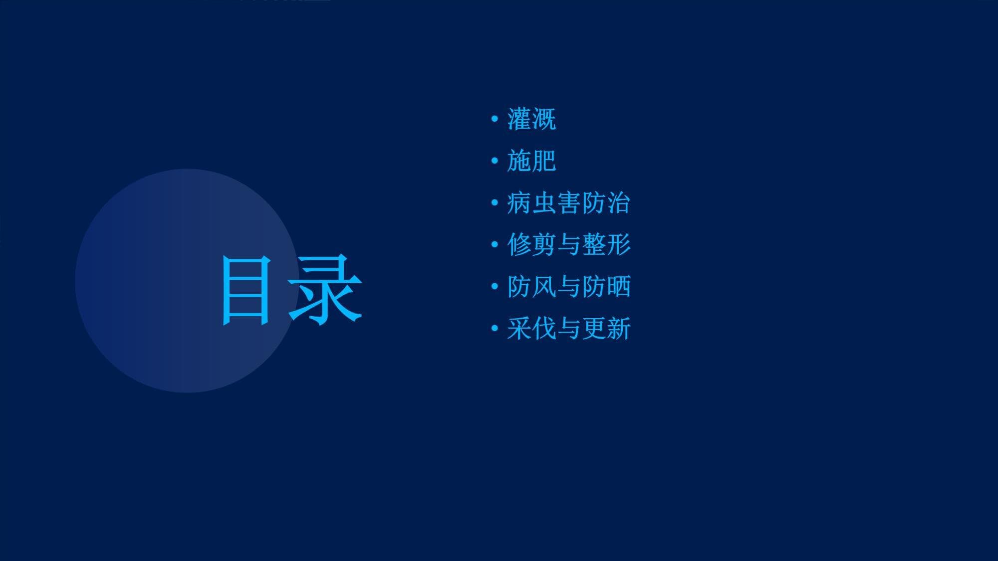 速生杨夏季管理六要点