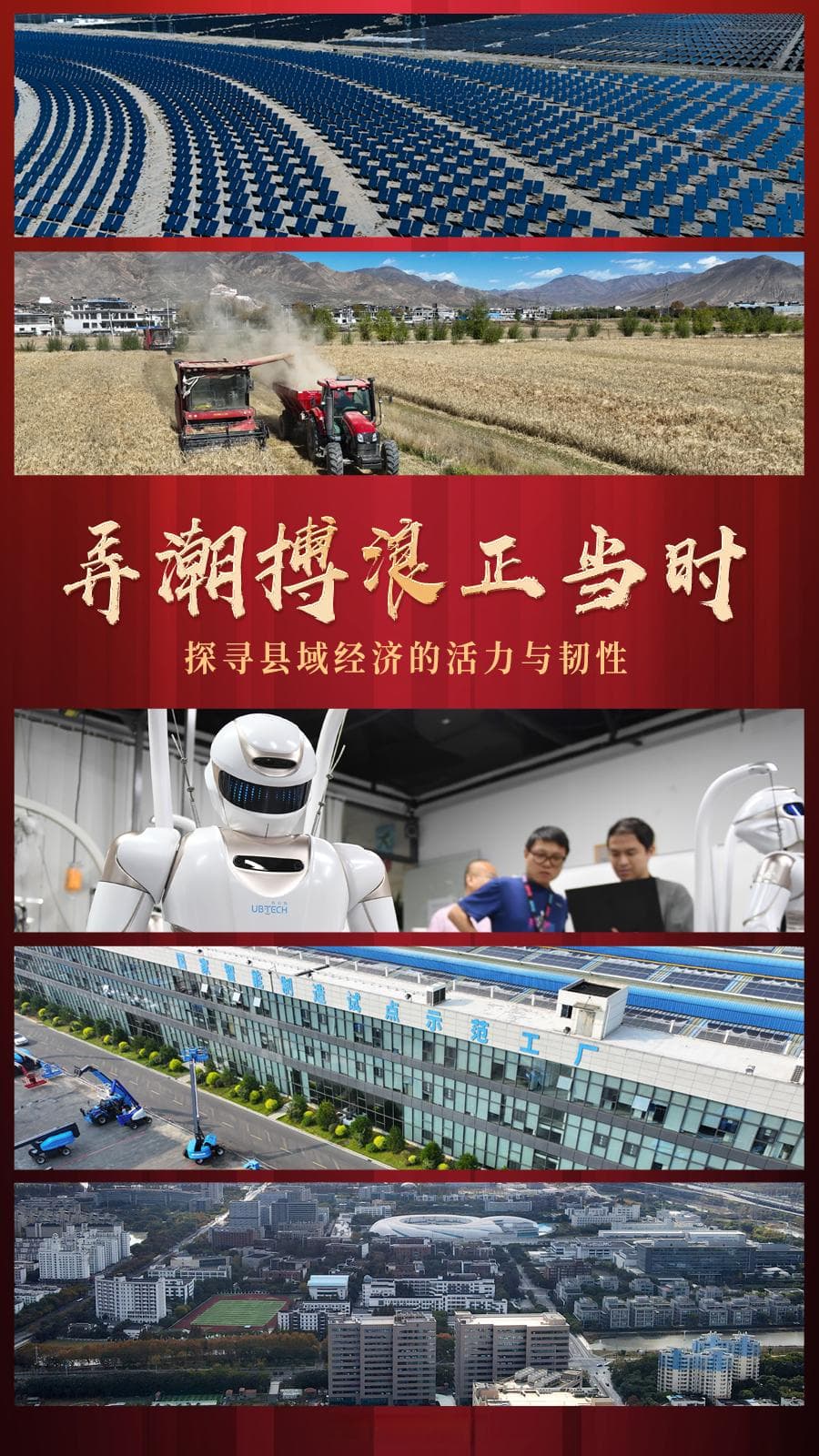 弄潮搏浪正当时——探寻县域经济的活力与韧性