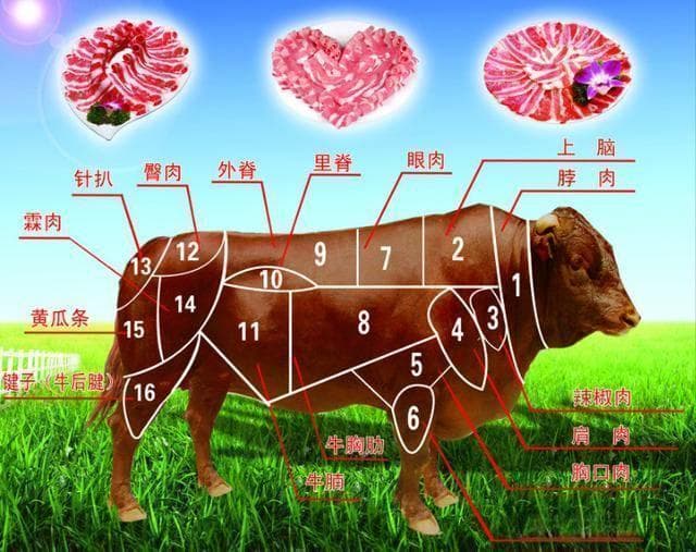 炒牛肉选哪个部位的比较嫩？揭秘嫩滑牛肉的选购与烹饪秘籍！