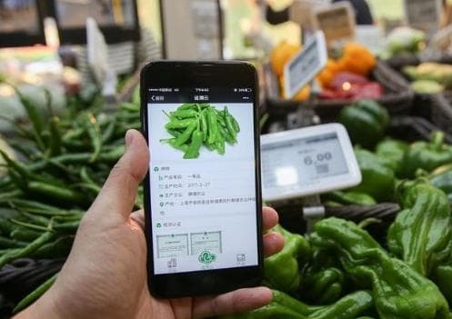 净菜加工安全溯源系统：从农田到餐桌的全程守护
