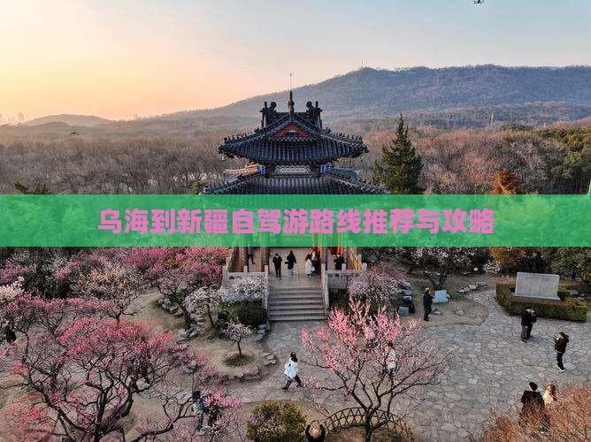 乌海出发，自驾新疆喀纳斯：路线、预算全攻略
