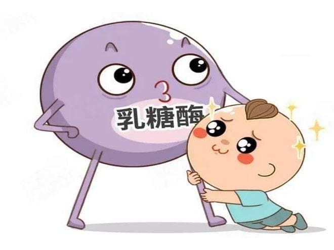婴幼儿乳糖不耐受：原因、症状与治疗全解析