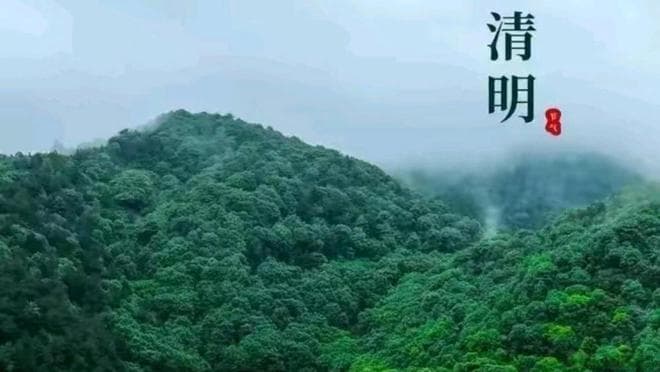 郑强教授“坟守不过四代”，清明节，为何年轻人越来越不愿意扫墓