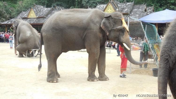 云南民族村：25个少数民族文化的活态博物馆