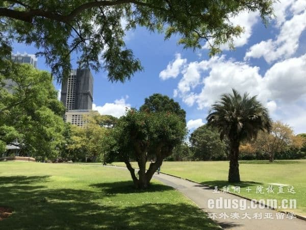 悉尼大学法学本科课程详解：入学要求与优势