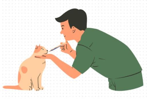 猫咪内外一体驱虫药怎么用？一篇搞定所有疑问～