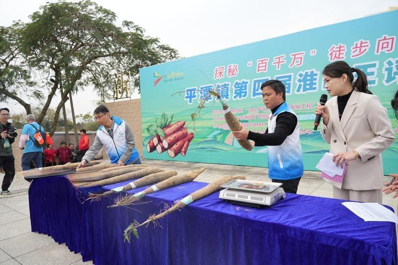 惠阳多个镇村形成自己的品牌文化活动