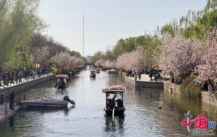 “花开北京”赏春系列活动启幕 元大都海棠花溪云蒸霞蔚