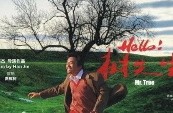 王宝强十大经典电影：从《Hello!树先生》到《八角笼中》