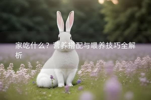 家养兔子吃什么？营养搭配与喂养技巧全解析