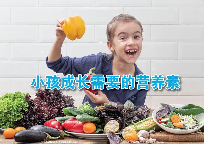 不同年龄段儿童所需的营养素