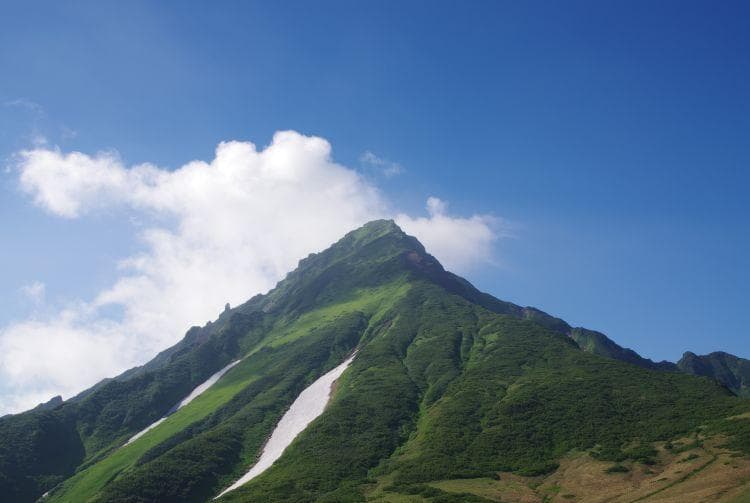 利尻岛与礼文岛：日本最北端的两座海岛仙境