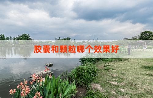 胶囊和颗粒哪个效果好？全面解析告诉你答案