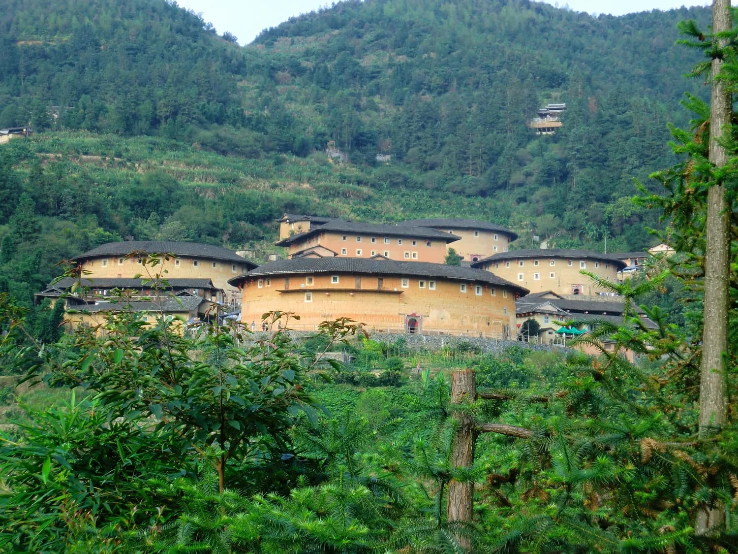龙岩土楼：世界遗产中的文化瑰宝