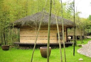 广西废弃小屋内惊现8箱活体眼镜蛇，生态保护与人类共存的警示