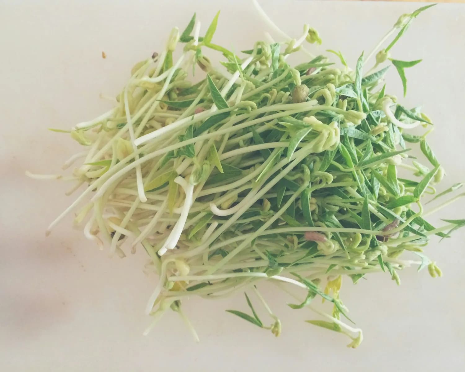 8种炒豆芽新吃法，让你一周不重样！