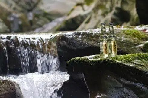 酿酒时，用的是什么水？