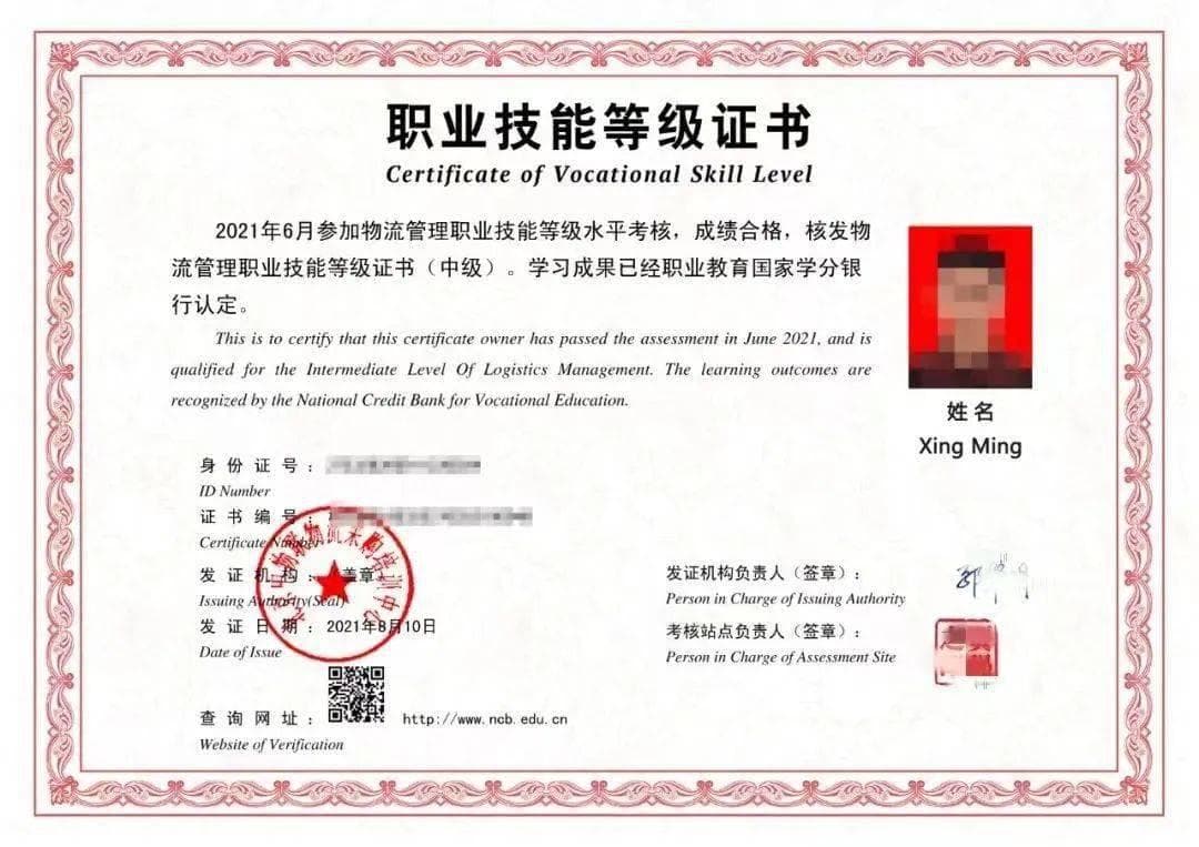 “1+X”物流管理证书：覆盖700所院校的国家级职业认证
