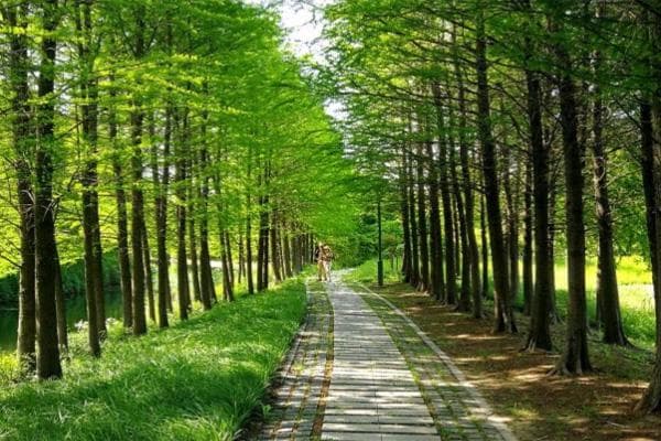 虎丘湿地公园：苏州的免费生态绿肺，八大功能区等你探秘