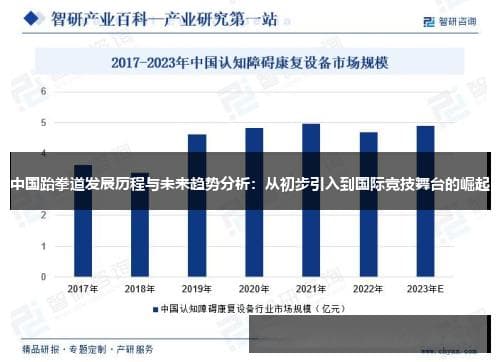 中国队10号球员领衔全队奋力拼搏 赛场上的亮点与挑战并存