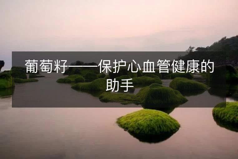葡萄籽——保护心血管健康的助手