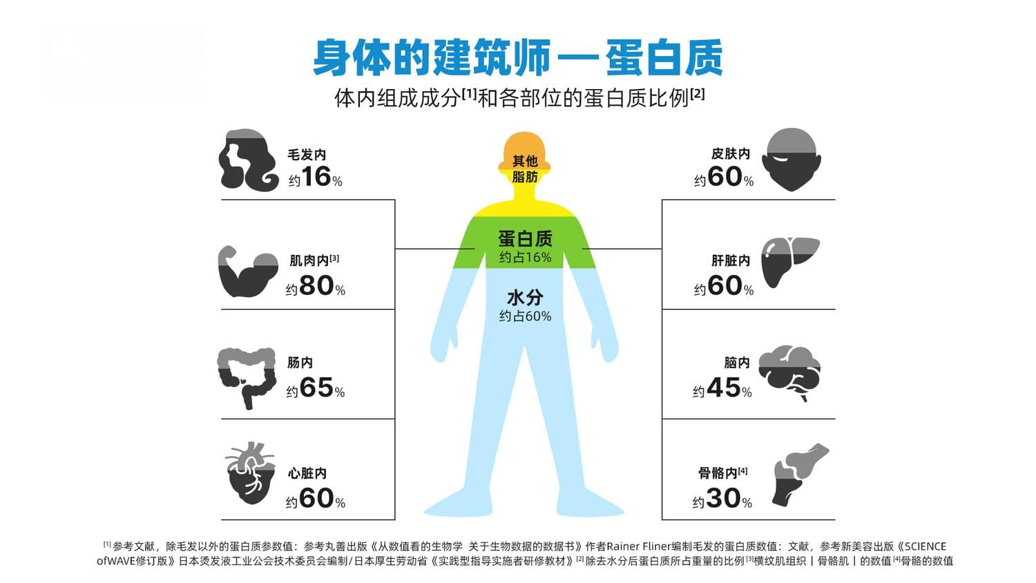 健康科普 | 植物蛋白vs动物蛋白如何选？