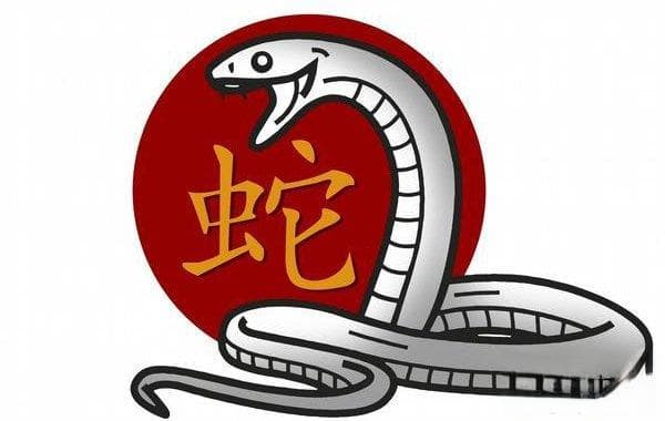 属蛇人起名禁忌与宜忌全解析