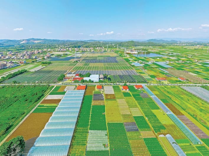 惠城区城乡区域协调发展显成效 镇域活力涌 乡村韵味足