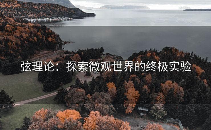 弦理论：探索微观世界的终极实验