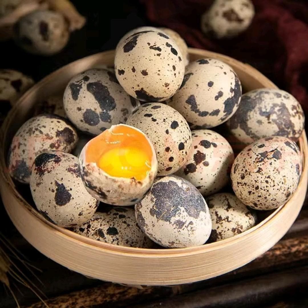 鹌鹑蛋：玲珑小物中的营养瑰宝