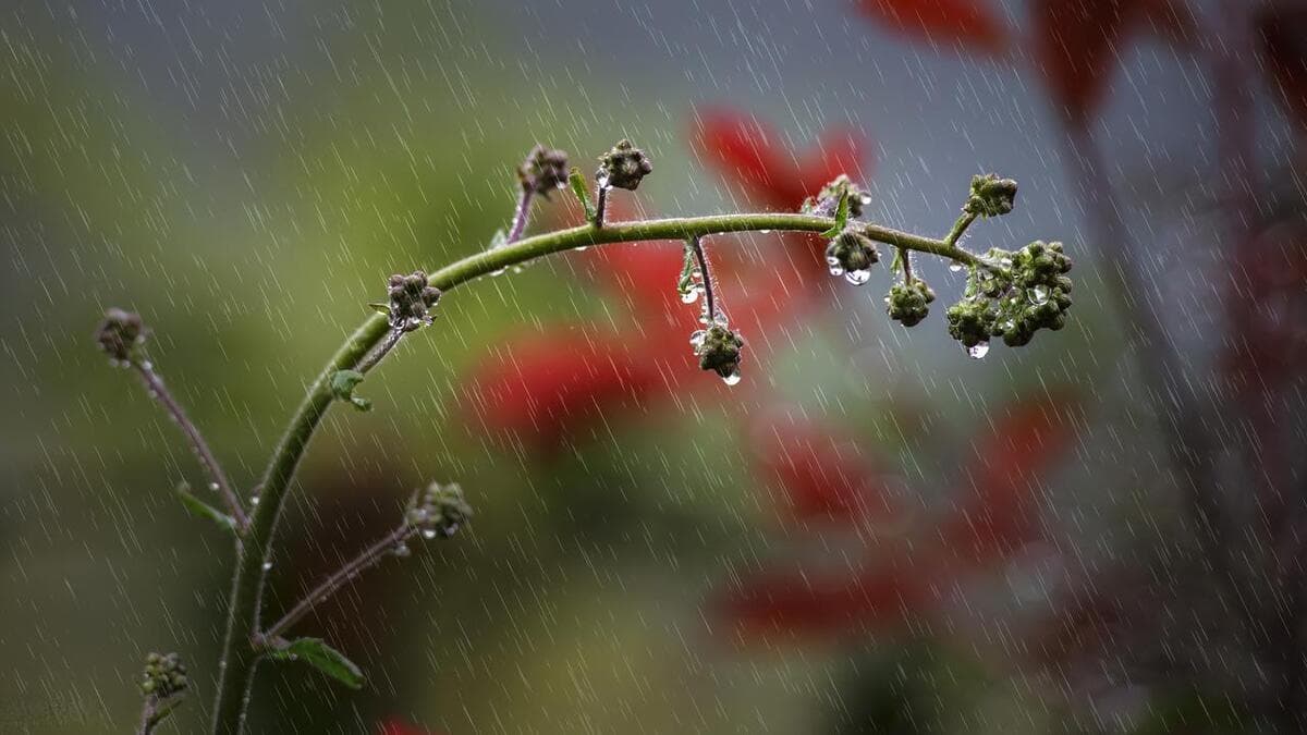 雨的形成的原理（科普：雨水是怎么形成的？）