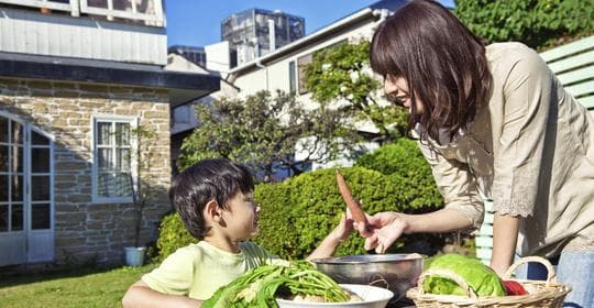 可以空腹吃梨吗：梨与什么食物相克、梨的营养价值