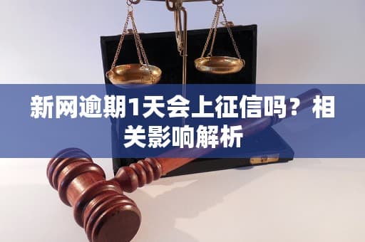 新网逾期1天会上征信吗？一文详解个人信用管理