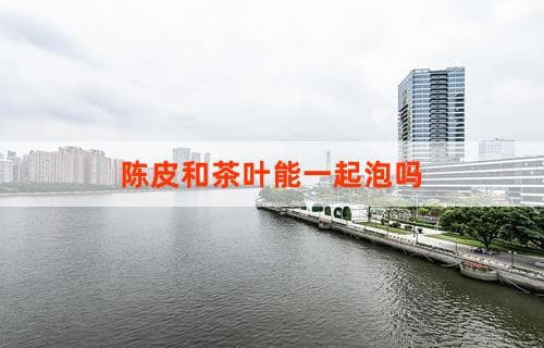 陈皮和茶叶能一起泡吗？解析陈皮茶的制作与功效