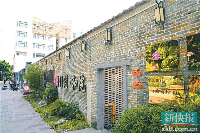 广州首批“美丽庭院”出炉 农家小院竟然这样美