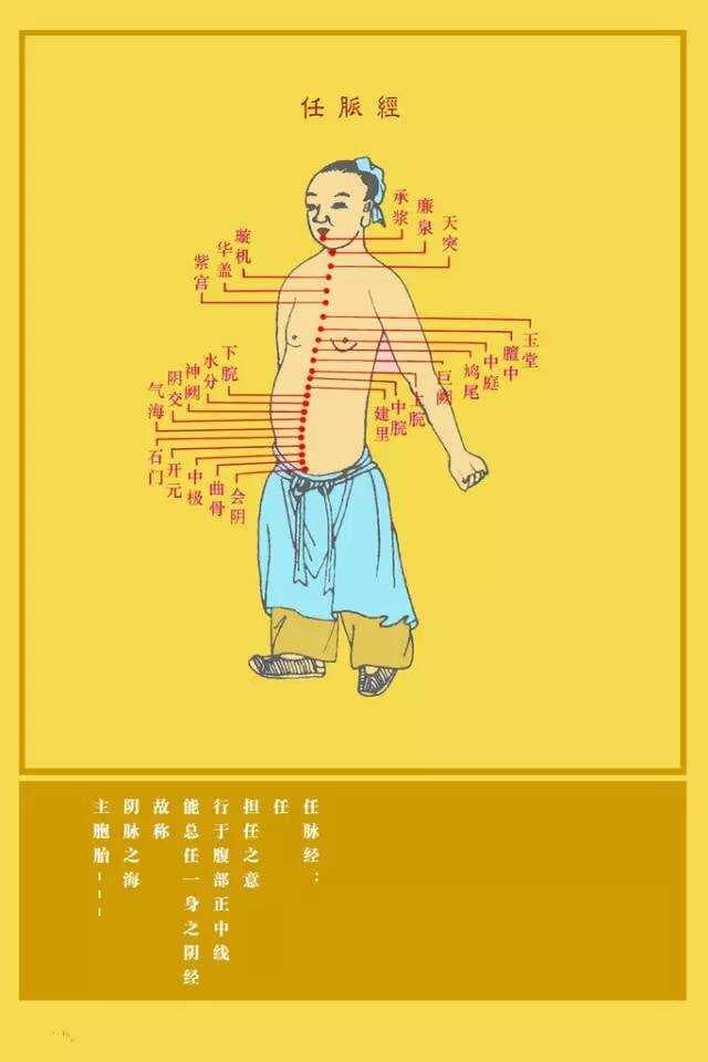 奇经八脉是大药