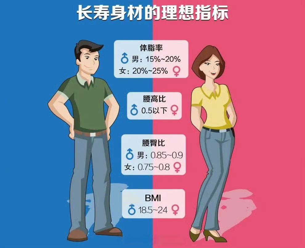 身体8处尺寸决定健康程度