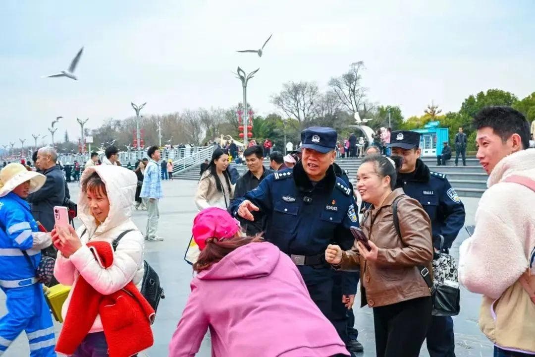 昆明主城海鸥集体“失踪”？看完这篇推文不跑空！