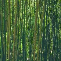 地球的质量是怎么算出来的