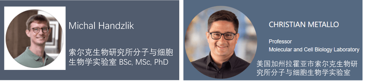 Nature | 一篇关于丝氨酸影响神经病变的新研究