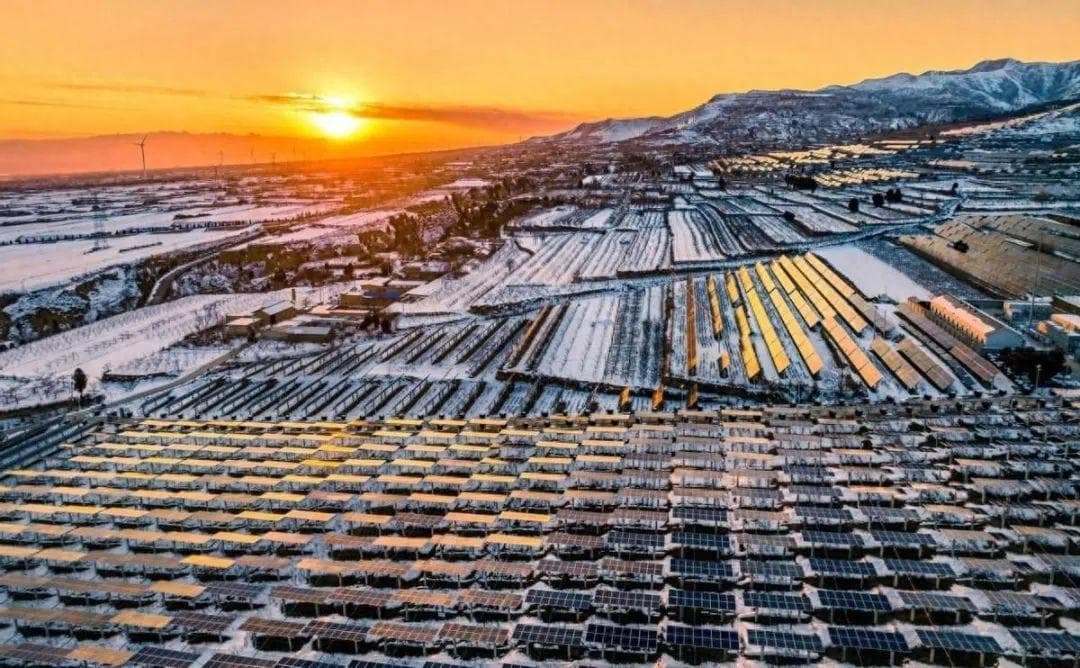 美国关税大棒再挥！中国光伏产业如何应对50%太阳能电池税冲击？