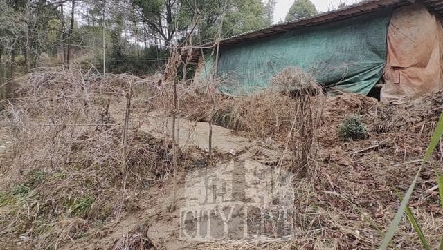 萍乡上栗：水源地水质异常引发关注 当地积极整改确保村民用水安全