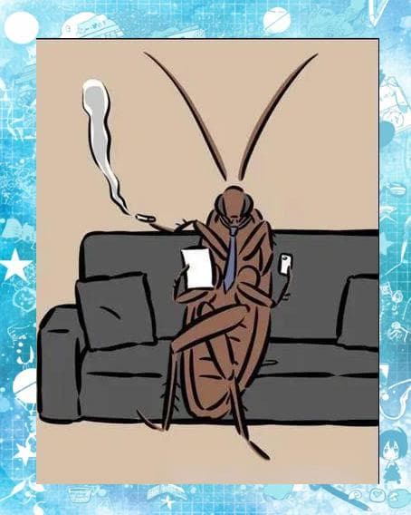 科普揭秘：南方蟑螂与北方蟑螂的差异与对比