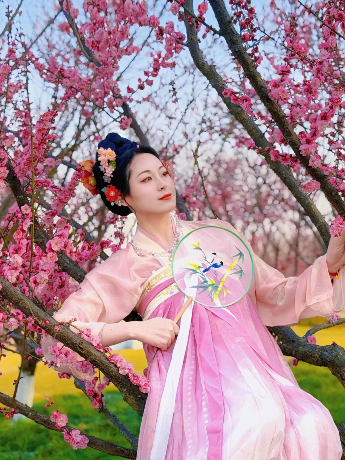 千株梅花竞芳华！合肥骆岗公园引市民竞相打卡