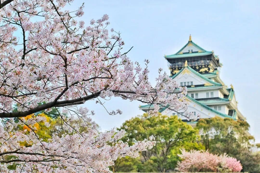 春天，看花才是正经事！花卉文旅如何玩出花样？
