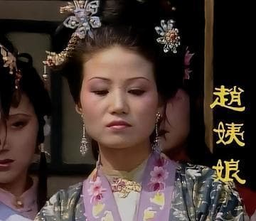 贾府里的那些事儿：赵姨娘的角色分析
