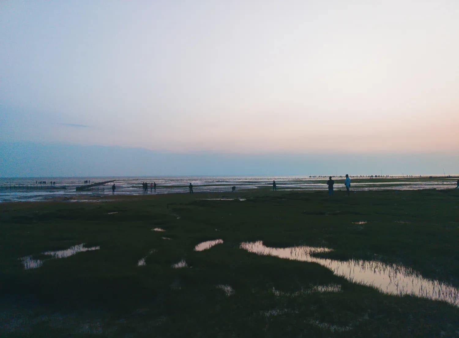 崇明岛上的蟛蜞：湿地生态的守护者